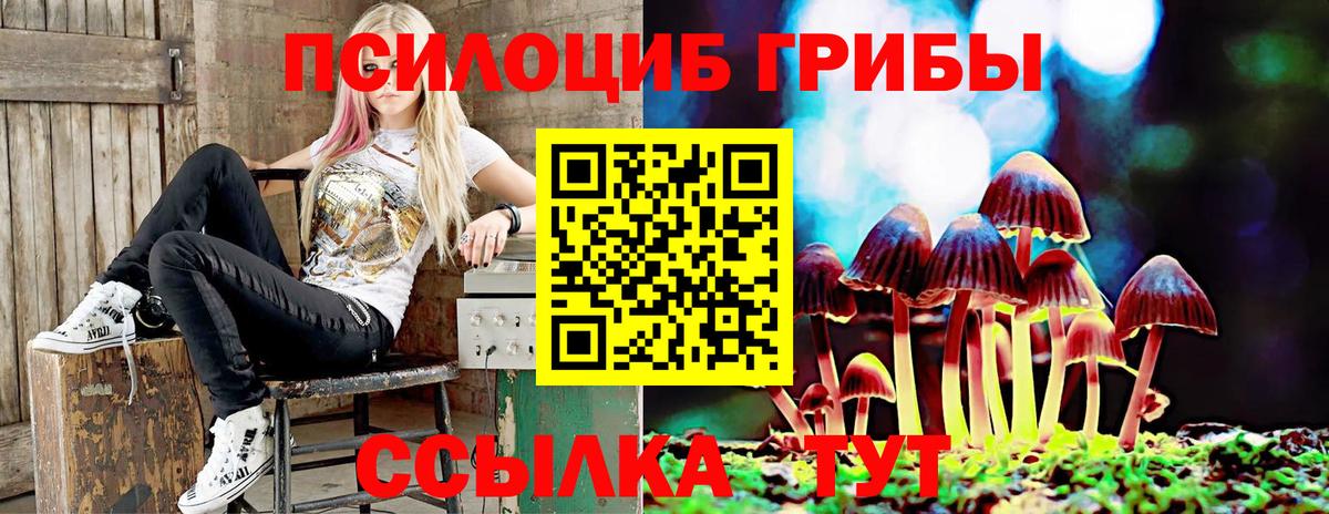 Псилоцибиновые грибы прущие грибы  Вход с VPN  Сегежа  Псилоцибиновые грибы ЛСД 