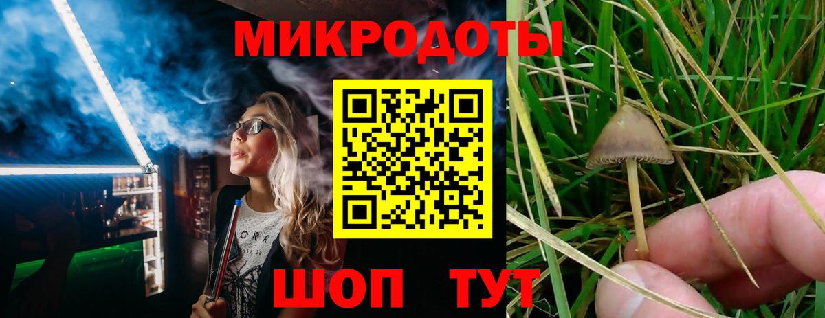 Галлюциногенные грибы мицелий Сегежа