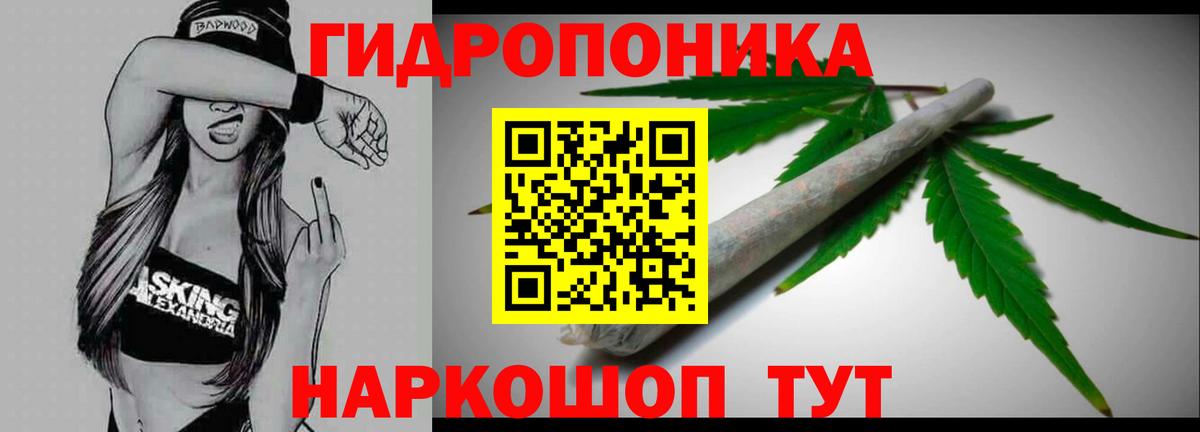 Сегежа  Канабис гибрид  Вход с VPN  Каннабис Amnesia 